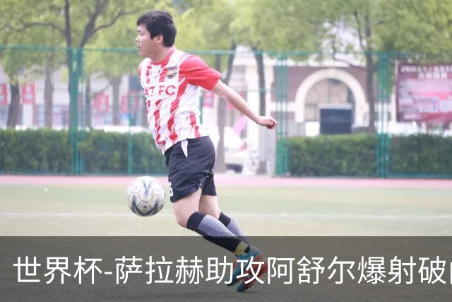 世界杯-萨拉赫助攻阿舒尔爆射破门 埃及半场1-0比利时