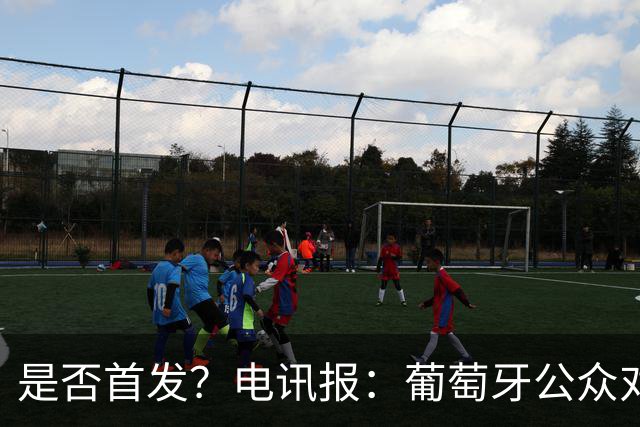 是否首发？电讯报：葡萄牙公众对C罗在国家队的角色观点严重对立